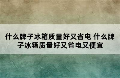 什么牌子冰箱质量好又省电 什么牌子冰箱质量好又省电又便宜